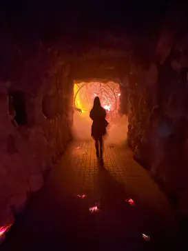 京都府立植物園　LIGHT CYCLES KYOTOに投稿された画像（2026/3/3）