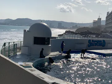 鴨川シーワールドに投稿された画像（2026/3/3）