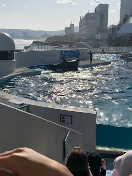 鴨川シーワールドに投稿された画像（2026/3/3）