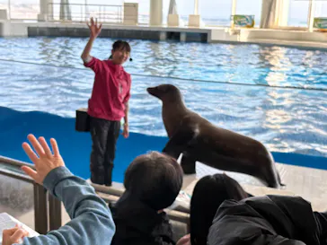アクアワールド茨城県大洗水族館に投稿された画像（2026/3/4）