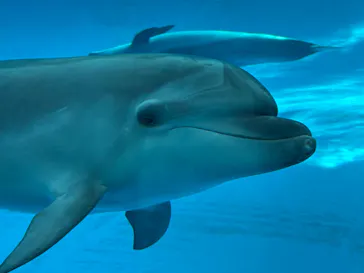 アクアワールド茨城県大洗水族館に投稿された画像（2026/3/4）