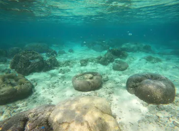 武藤潜水に投稿された画像（2026/3/4）