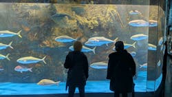 のとじま水族館に投稿された画像（2026/3/4）