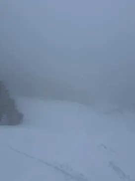 星野リゾート　ネコマ マウンテンに投稿された画像（2026/3/4）