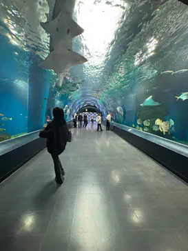 マクセル アクアパーク品川に投稿された画像（2026/3/4）