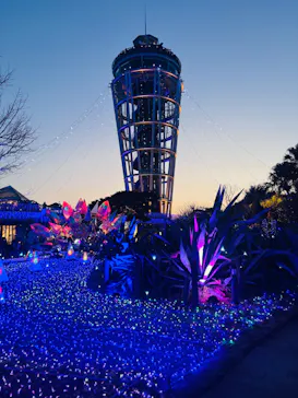 江の島シーキャンドルに投稿された画像（2026/3/4）