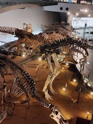 福井県立恐竜博物館に投稿された画像（2026/3/4）