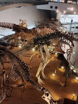 福井県立恐竜博物館に投稿された画像（2026/3/4）