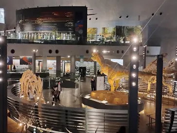 福井県立恐竜博物館に投稿された画像（2026/3/4）