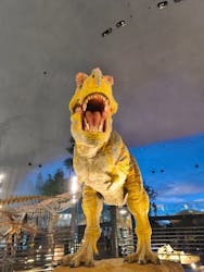 福井県立恐竜博物館に投稿された画像（2026/3/4）