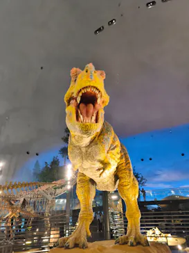 福井県立恐竜博物館に投稿された画像（2026/3/4）