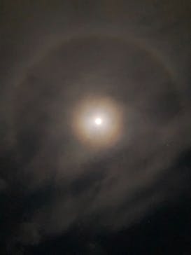 神戸天空温泉 銀河の湯（みのたにグリーンスポーツホテル）に投稿された画像（2026/3/4）