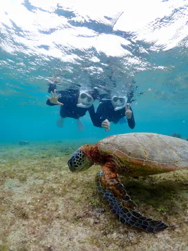 MONKEY NAVYに投稿された画像（2026/3/4）