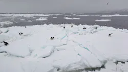 知床ネイチャークルーズに投稿された画像（2026/3/4）