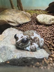 名古屋市東山動植物園に投稿された画像（2026/3/4）