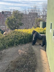 名古屋市東山動植物園に投稿された画像（2026/3/4）