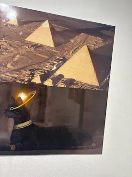 IMMERSIVE JOURNEY 名古屋に投稿された画像（2026/3/4）