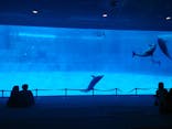 名古屋港水族館に投稿された画像（2026/3/4）