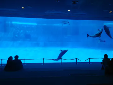 名古屋港水族館に投稿された画像（2026/3/4）