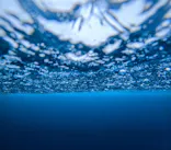 イラブルーツアーズに投稿された画像（2026/3/4）