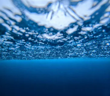 イラブルーツアーズに投稿された画像（2026/3/4）