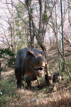 みろくの里に投稿された画像（2026/3/4）