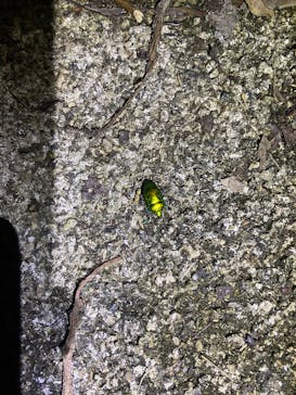 3 pieceに投稿された画像（2026/3/4）