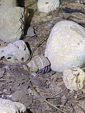 3 pieceに投稿された画像（2026/3/4）