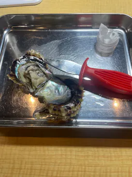 三重県真珠に投稿された画像（2026/3/4）