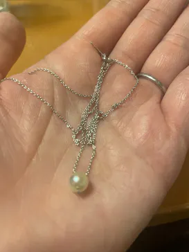 三重県真珠に投稿された画像（2026/3/4）