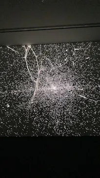 豊田市美術館に投稿された画像（2026/3/4）