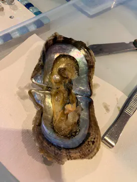 しながわ水族館に投稿された画像（2026/3/4）