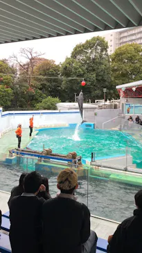 しながわ水族館に投稿された画像（2026/3/4）