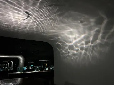 NIFREL（ニフレル）に投稿された画像（2026/3/4）