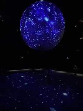 NIFREL（ニフレル）に投稿された画像（2026/3/4）