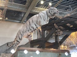 NIFREL（ニフレル）に投稿された画像（2026/3/4）