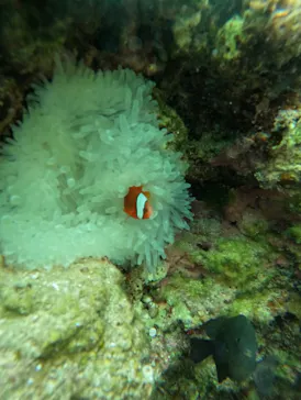 武藤潜水に投稿された画像（2026/3/5）