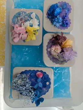 ずこうしつ〜sugamo〜に投稿された画像（2026/3/5）