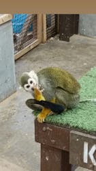 しろとり動物園に投稿された画像（2026/3/5）