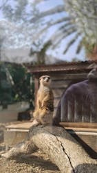 しろとり動物園に投稿された画像（2026/3/5）