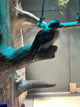 カワスイ 川崎⽔族館に投稿された画像（2026/3/5）