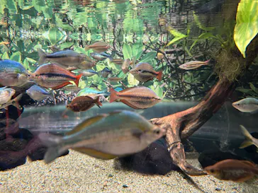 カワスイ 川崎⽔族館に投稿された画像（2026/3/5）