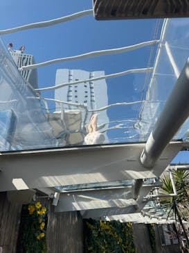 サンシャイン水族館に投稿された画像（2026/3/5）