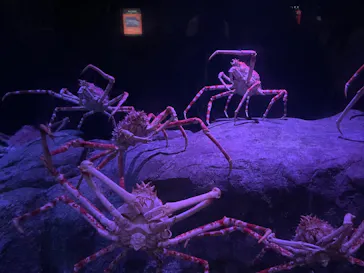 横浜・八景島シーパラダイスに投稿された画像（2026/3/5）