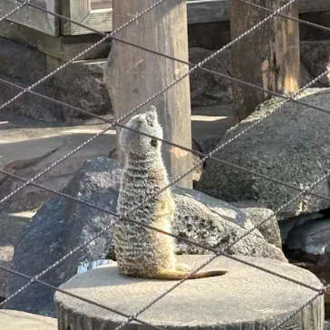 井の頭自然文化園に投稿された画像（2026/3/5）