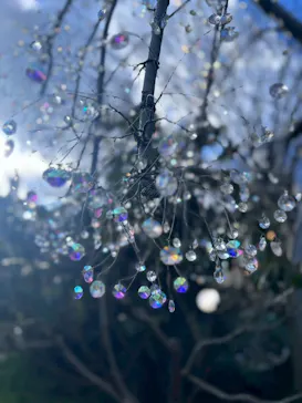 箱根ガラスの森美術館に投稿された画像（2026/3/5）