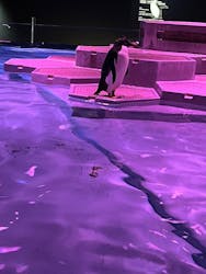 AOAO SAPPOROに投稿された画像（2026/3/5）