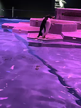 AOAO SAPPOROに投稿された画像（2026/3/5）