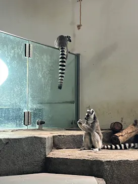 NIFREL（ニフレル）に投稿された画像（2026/3/5）