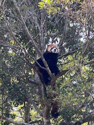 長崎バイオパークに投稿された画像（2026/3/5）